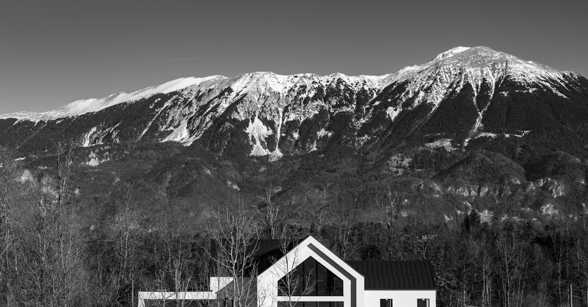 découvrez l'art de la photographie de paysage, où chaque image capture la beauté époustouflante de la nature. explorez des techniques, des conseils et des inspirations pour immortaliser des scènes majestueuses et créer des œuvres inoubliables.