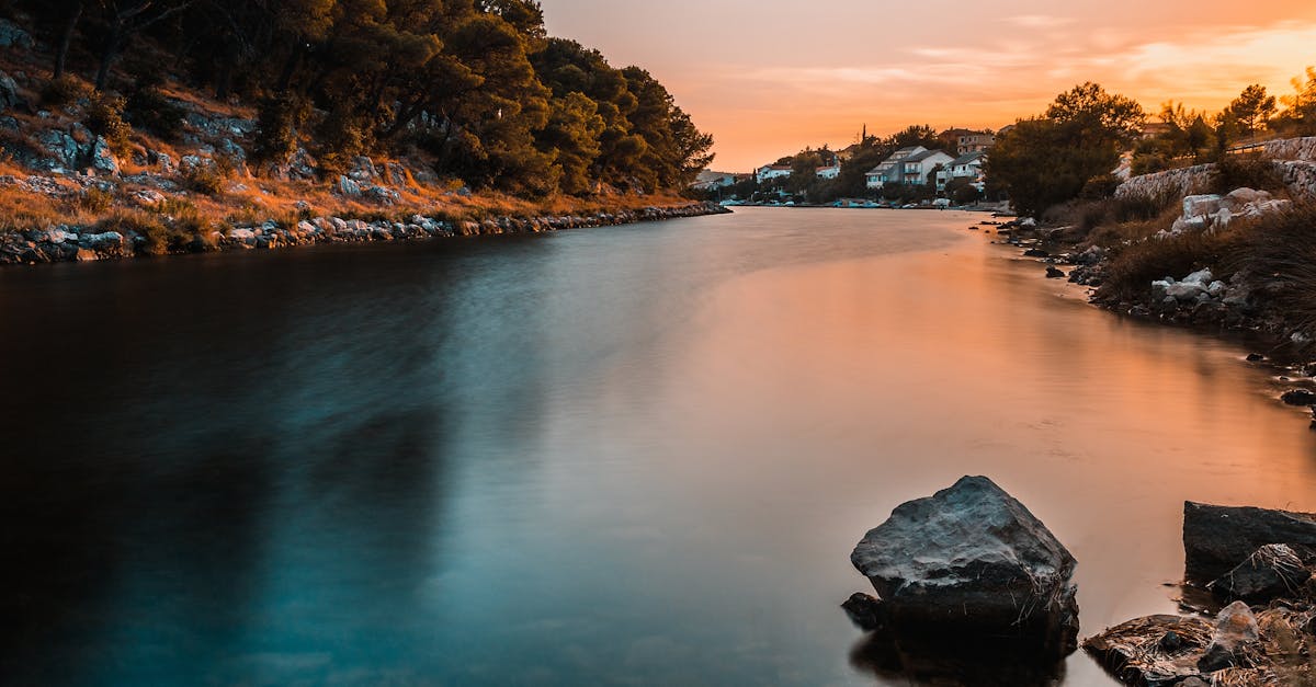 découvrez l'art de la photographie à travers des conseils, techniques et inspirations pour capturer des moments mémorables et sublimer votre créativité.