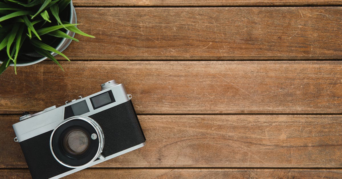 découvrez l'univers captivant de la photographie, où chaque image raconte une histoire unique. apprenez des techniques, explorez des styles variés et libérez votre créativité à travers l'art de capturer des moments inoubliables.
