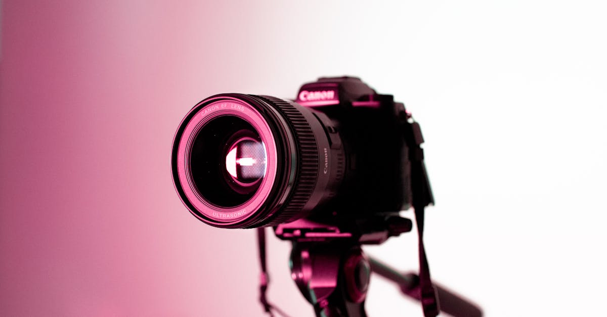 découvrez l'art de la photographie à travers des conseils, des techniques et des inspirations pour capturer des moments uniques et sublimer vos images.