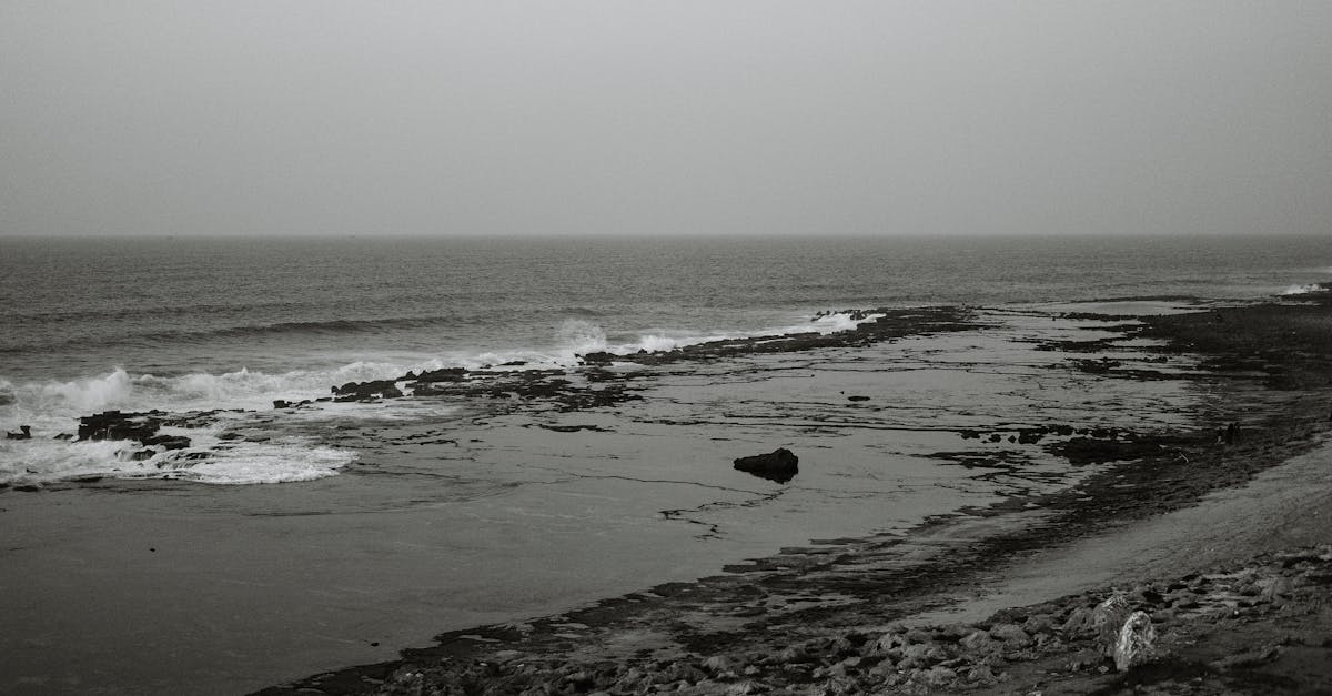 découvrez notre sélection exclusive de photographies à vendre, mettant en avant des œuvres d'art uniques et inspirantes. que vous soyez un amateur d'art ou un collectionneur chevronné, trouvez la pièce parfaite pour embellir votre espace et capturer des moments inoubliables.